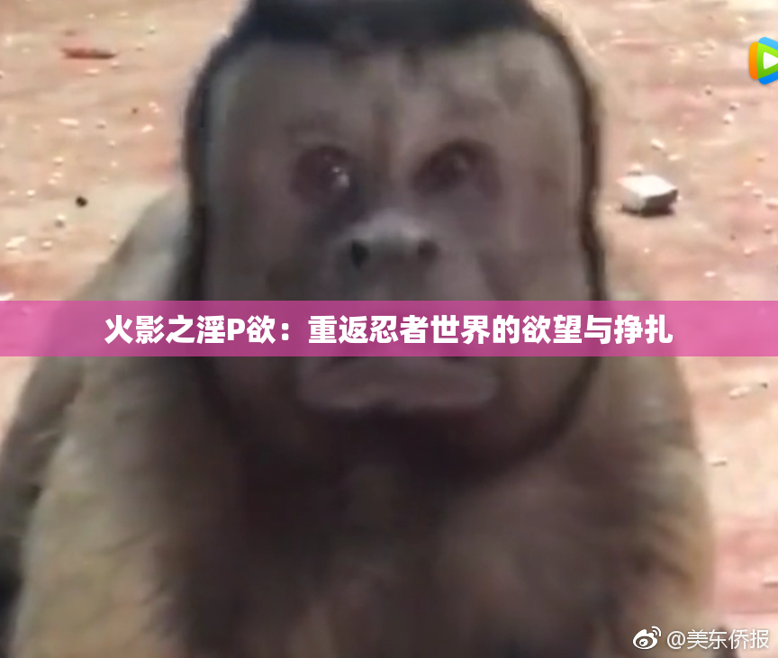 火影之淫P欲：重返忍者世界的欲望与挣扎