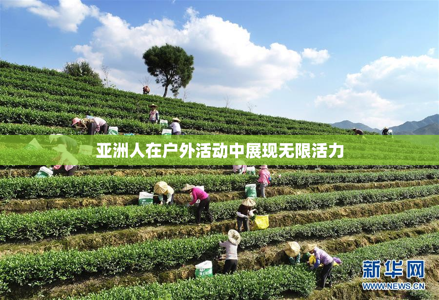亚洲人在户外活动中展现无限活力