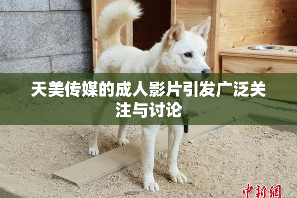 天美传媒的成人影片引发广泛关注与讨论
