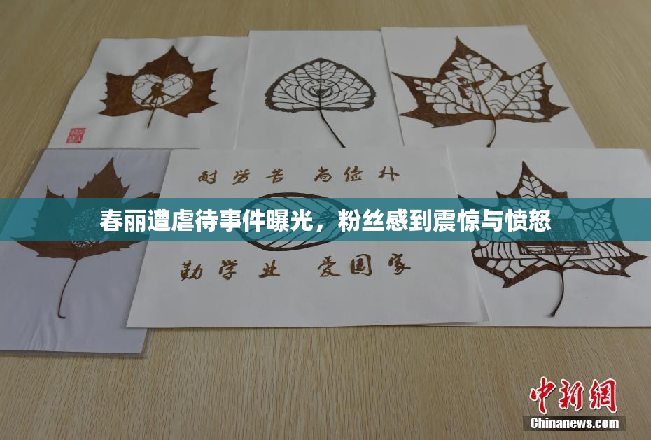 春丽遭虐待事件曝光，粉丝感到震惊与愤怒