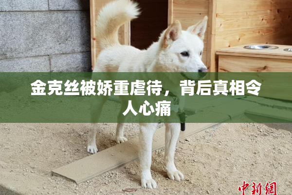 金克丝被娇重虐待，背后真相令人心痛