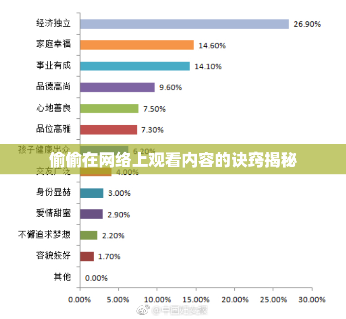 偷偷在网络上观看内容的诀窍揭秘