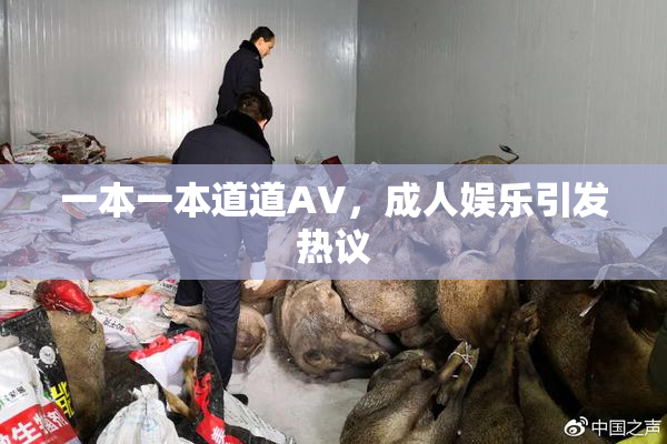 一本一本道道AV，成人娱乐引发热议