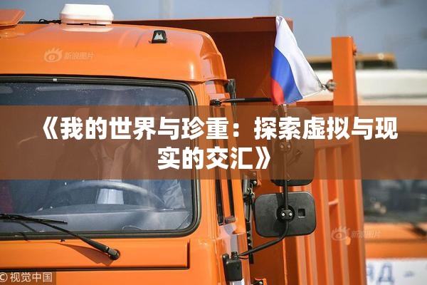 《我的世界与珍重：探索虚拟与现实的交汇》