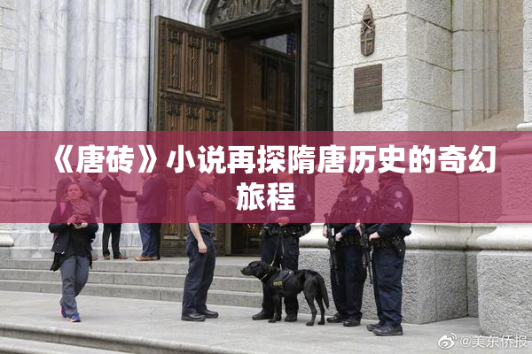 《唐砖》小说再探隋唐历史的奇幻旅程