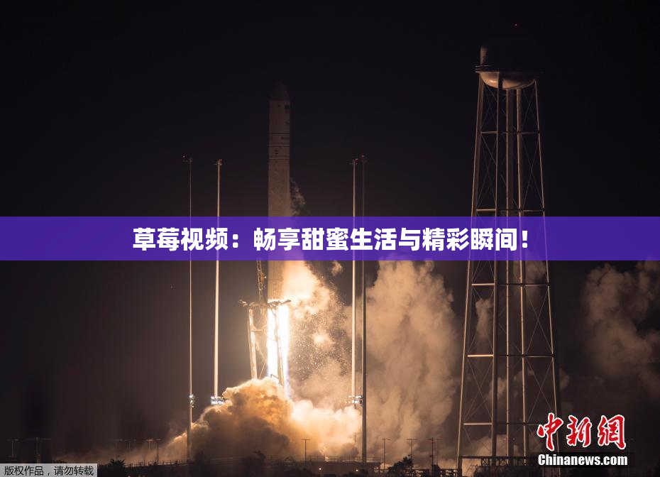 草莓视频：畅享甜蜜生活与精彩瞬间！