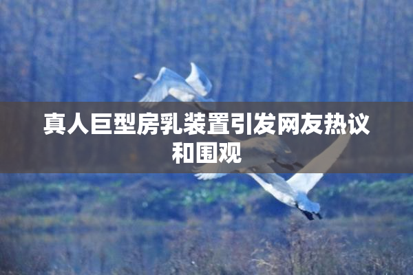 真人巨型房乳装置引发网友热议和围观