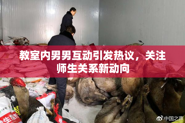 教室内男男互动引发热议，关注师生关系新动向
