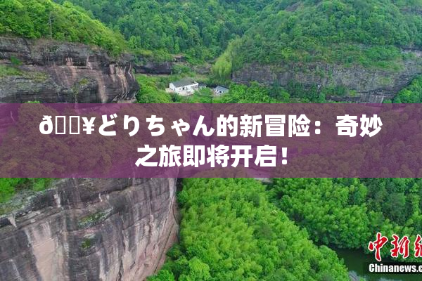 🔥どりちゃん的新冒险：奇妙之旅即将开启！