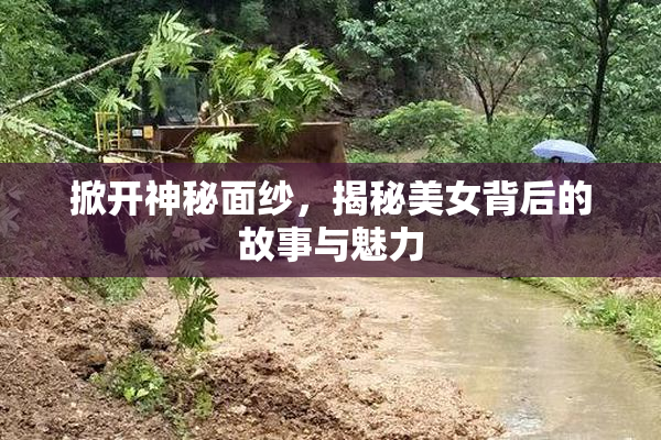 掀开神秘面纱，揭秘美女背后的故事与魅力