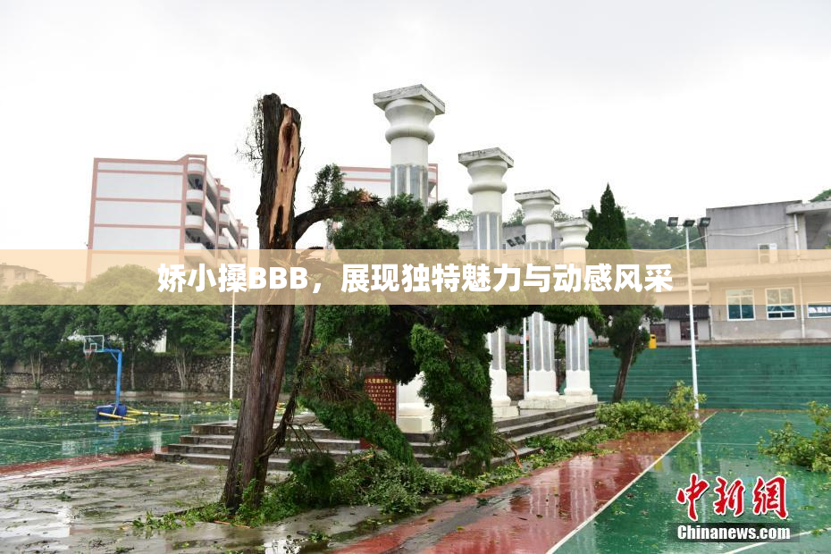 娇小搡BBB，展现独特魅力与动感风采