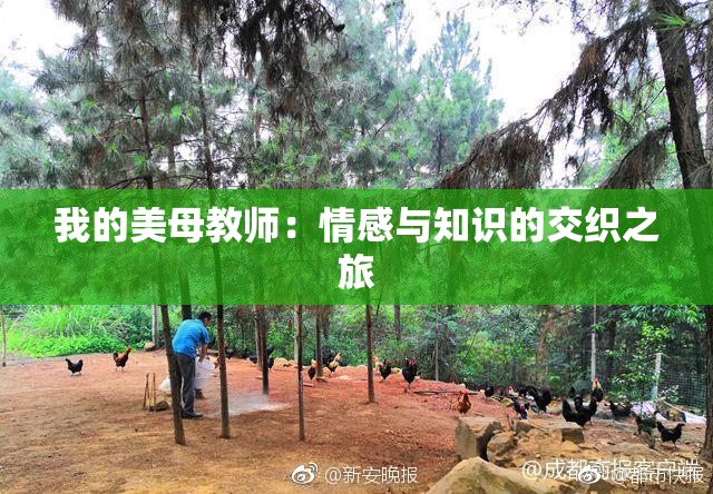 我的美母教师：情感与知识的交织之旅