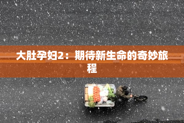 大肚孕妇2：期待新生命的奇妙旅程