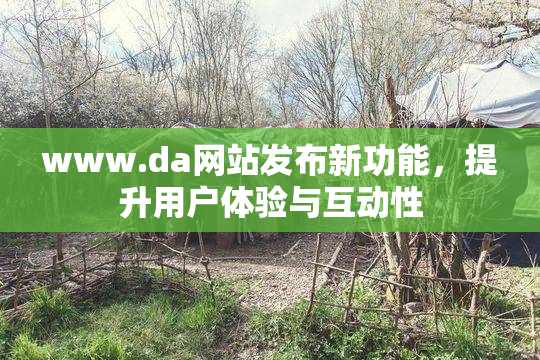 www.da网站发布新功能，提升用户体验与互动性