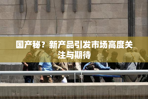 国产秘？新产品引发市场高度关注与期待