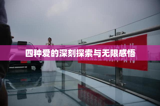 四种爱的深刻探索与无限感悟