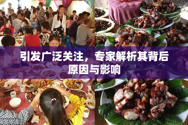 引发广泛关注，专家解析其背后原因与影响