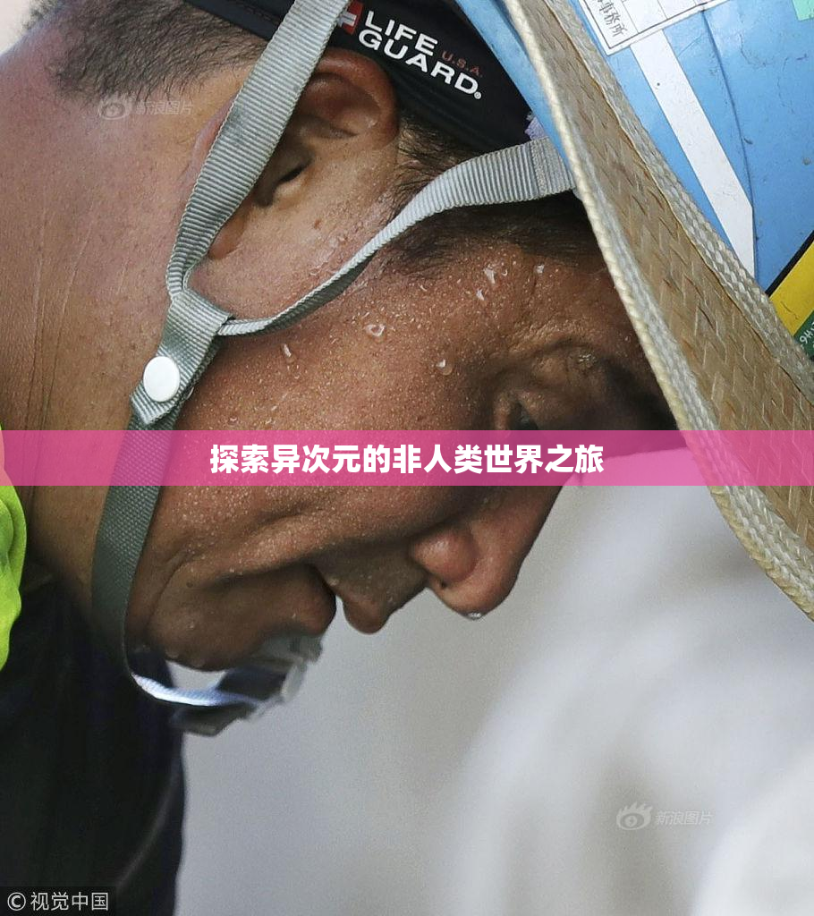 探索异次元的非人类世界之旅