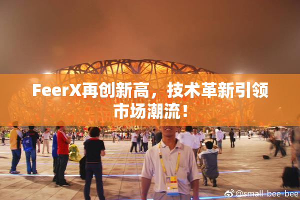 FeerX再创新高，技术革新引领市场潮流！