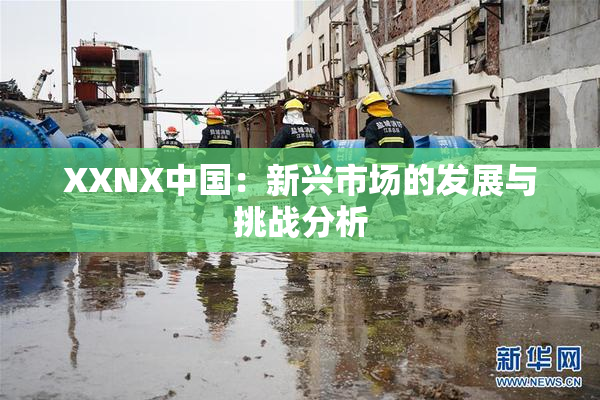XXNX中国：新兴市场的发展与挑战分析