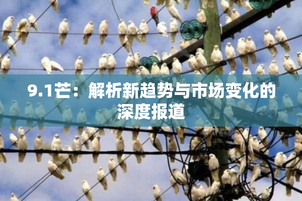9.1芒：解析新趋势与市场变化的深度报道