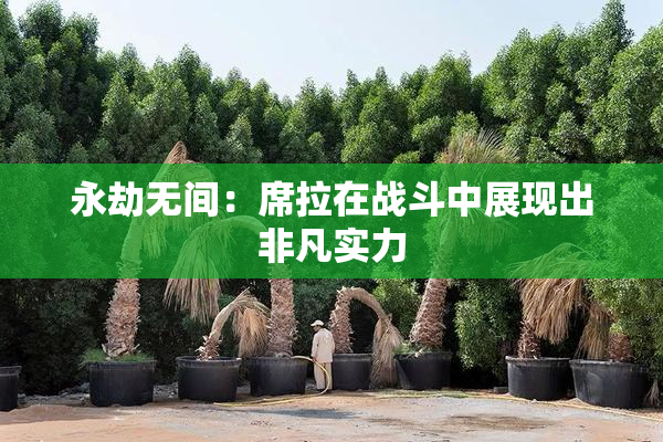 永劫无间：席拉在战斗中展现出非凡实力