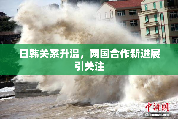 日韩关系升温，两国合作新进展引关注