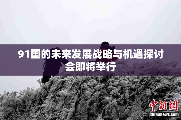 91国的未来发展战略与机遇探讨会即将举行