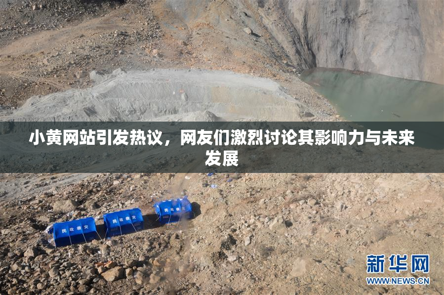 小黄网站引发热议，网友们激烈讨论其影响力与未来发展