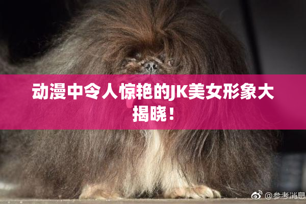 动漫中令人惊艳的JK美女形象大揭晓！