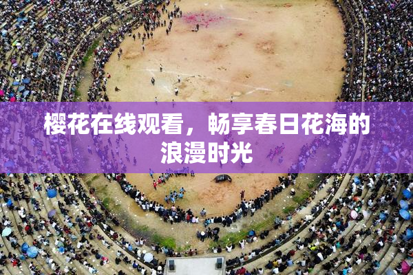 樱花在线观看，畅享春日花海的浪漫时光