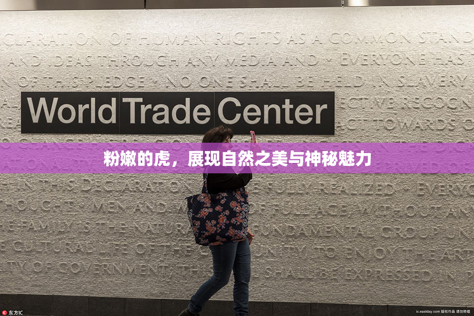 粉嫩的虎，展现自然之美与神秘魅力