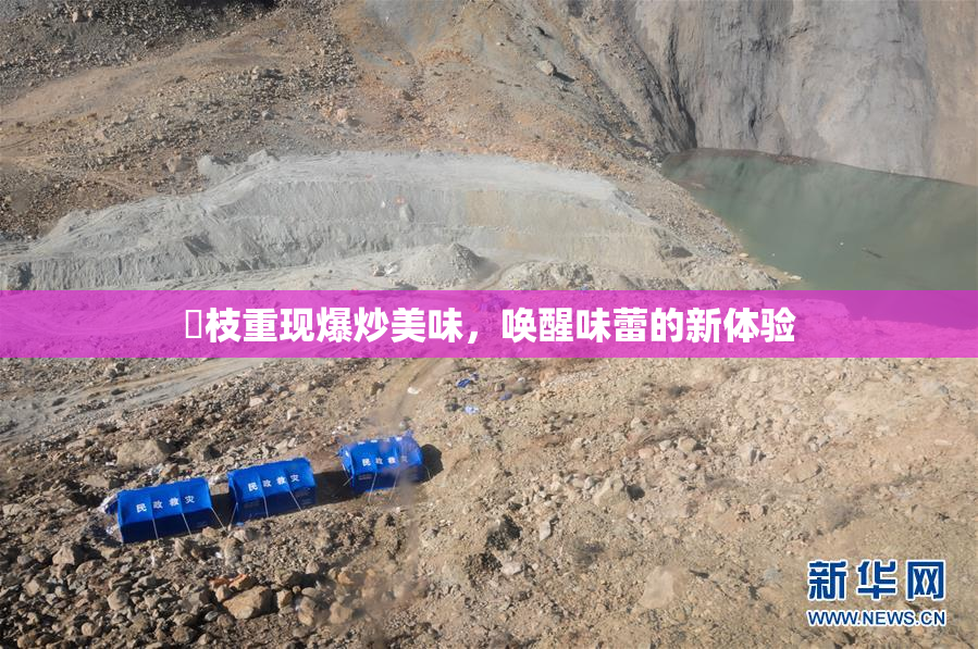 狛枝重现爆炒美味，唤醒味蕾的新体验