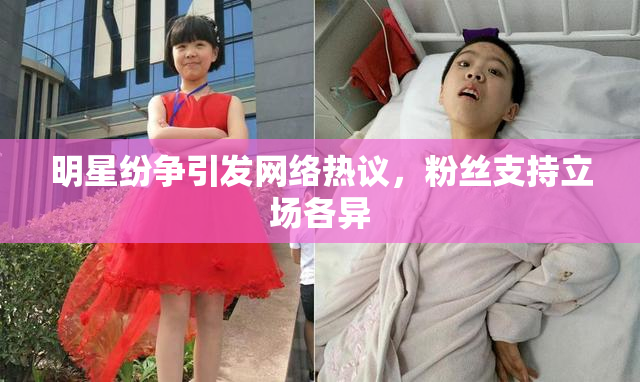明星纷争引发网络热议，粉丝支持立场各异
