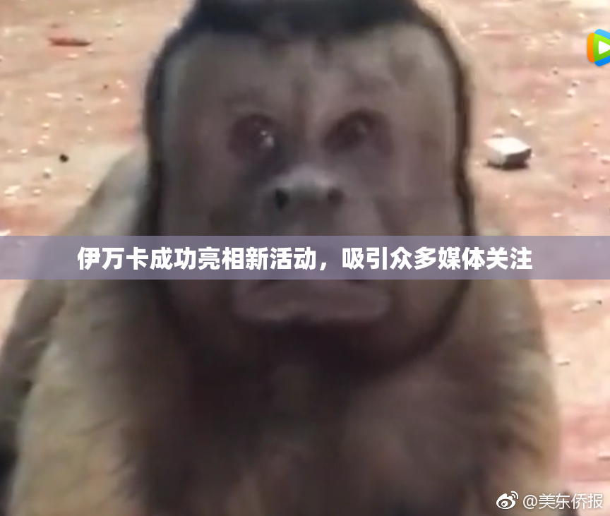 伊万卡成功亮相新活动，吸引众多媒体关注