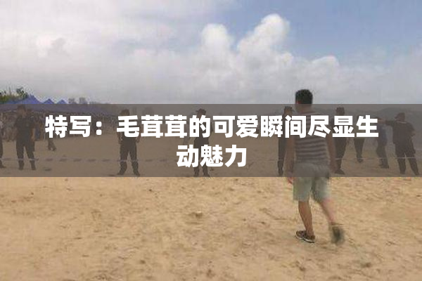 特写：毛茸茸的可爱瞬间尽显生动魅力