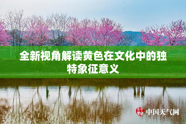 全新视角解读黄色在文化中的独特象征意义