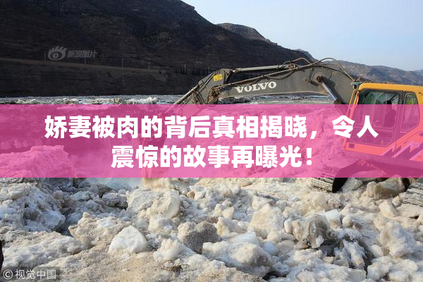 娇妻被肉的背后真相揭晓，令人震惊的故事再曝光！
