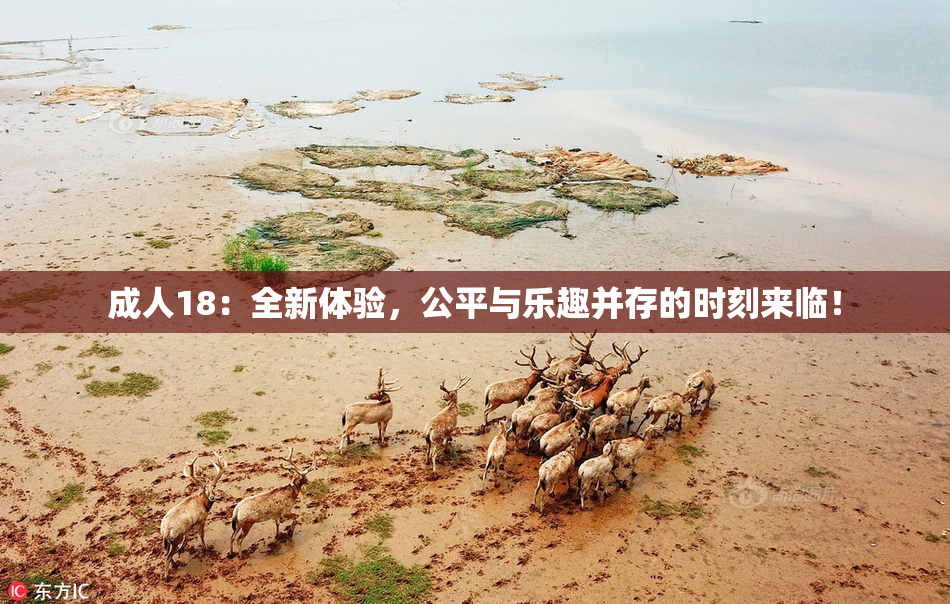 成人18：全新体验，公平与乐趣并存的时刻来临！