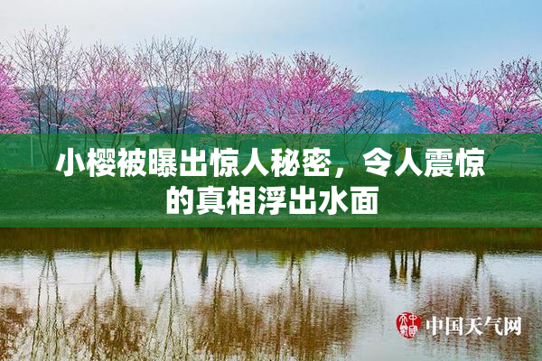 小樱被曝出惊人秘密，令人震惊的真相浮出水面