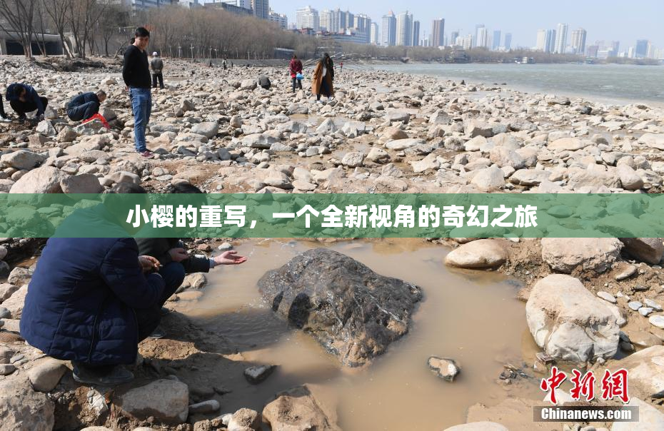 小樱的重写，一个全新视角的奇幻之旅