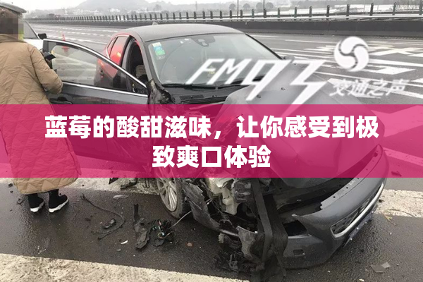 蓝莓的酸甜滋味，让你感受到极致爽口体验