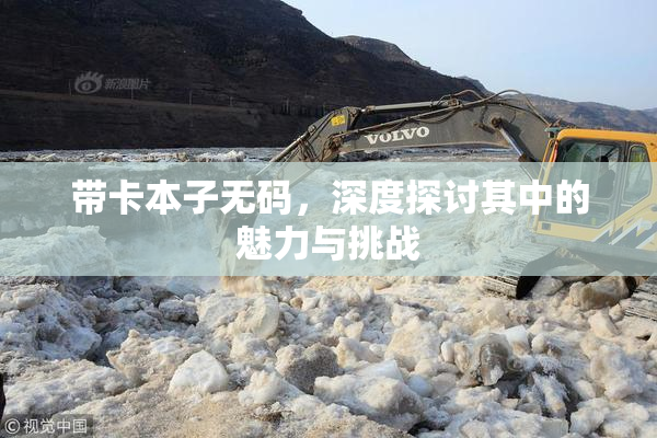 带卡本子无码，深度探讨其中的魅力与挑战