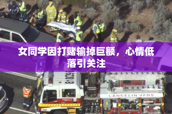 女同学因打赌输掉巨额，心情低落引关注