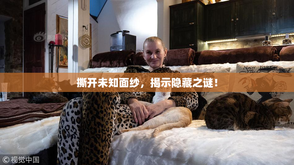 撕开未知面纱，揭示隐藏之谜！