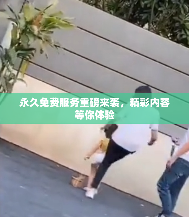永久免费服务重磅来袭，精彩内容等你体验