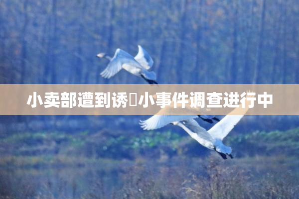 小卖部遭到诱奷小事件调查进行中