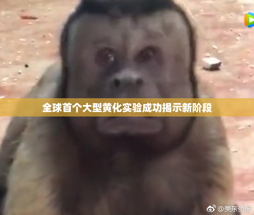 全球首个大型黄化实验成功揭示新阶段