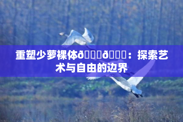 重塑少萝裸体🔞🔞：探索艺术与自由的边界