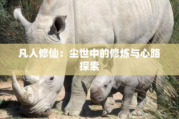 凡人修仙：尘世中的修炼与心路探索